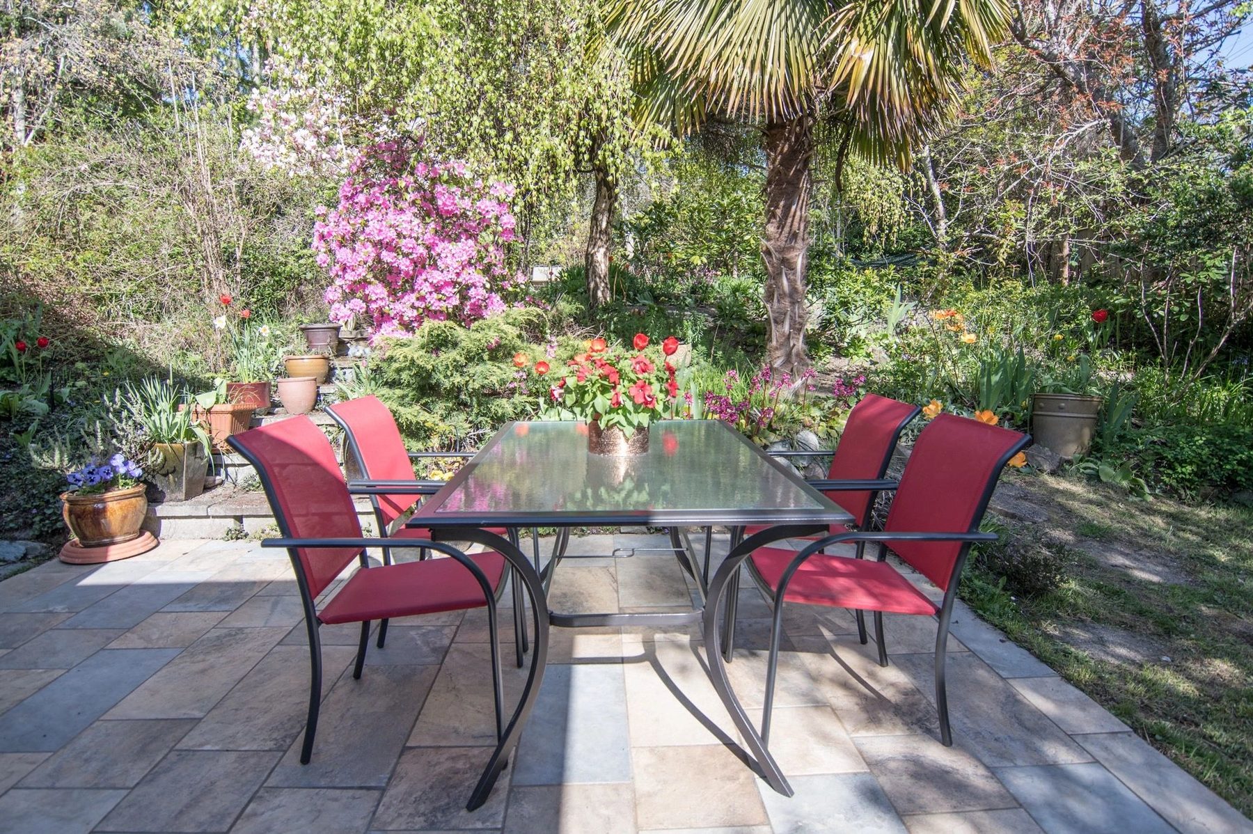 The English cottage garden at Bayview in bloom, with seating among the flowers